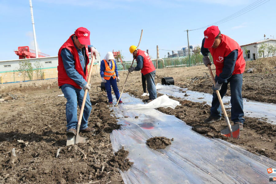 云顶集团4008(中国)官方网站