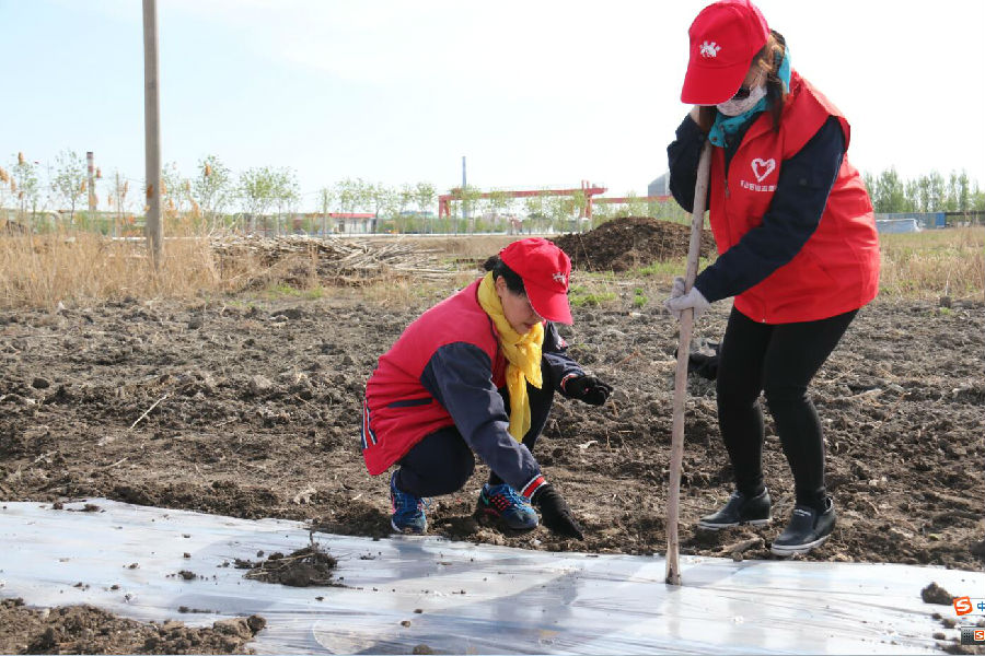 云顶集团4008(中国)官方网站