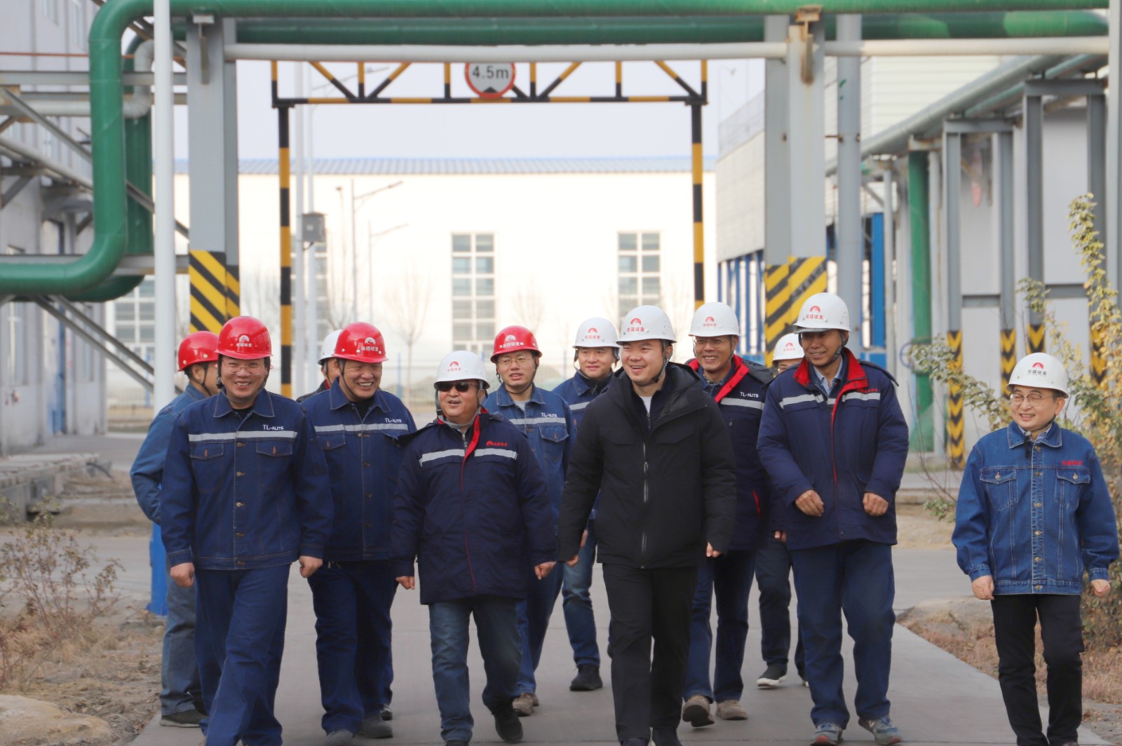 20250206101139_8oy3l5thg0