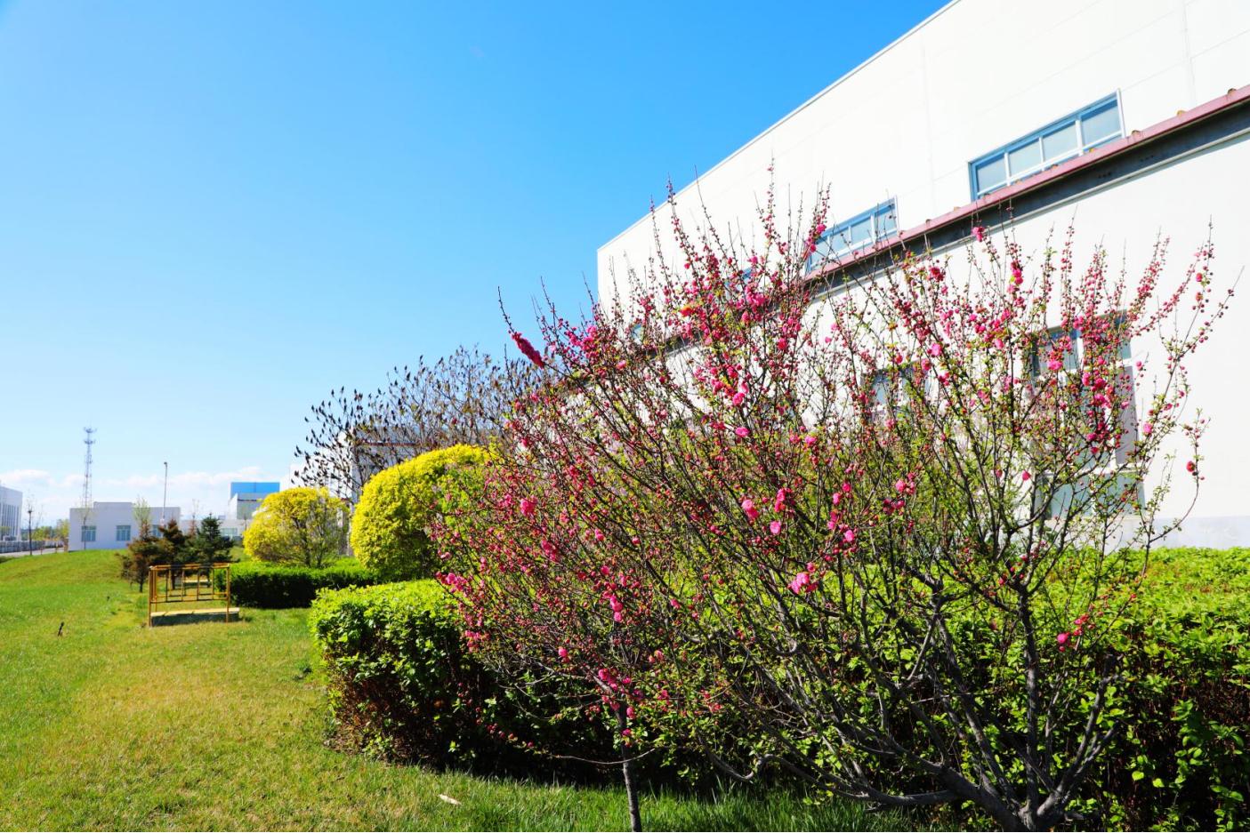 20250526162118_4onyv6m6sq