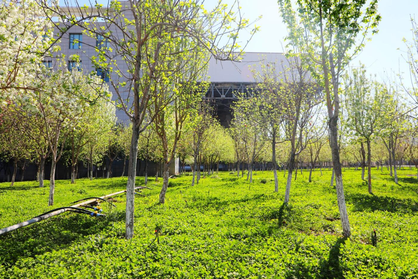 20250526162118_826f3ys0ag