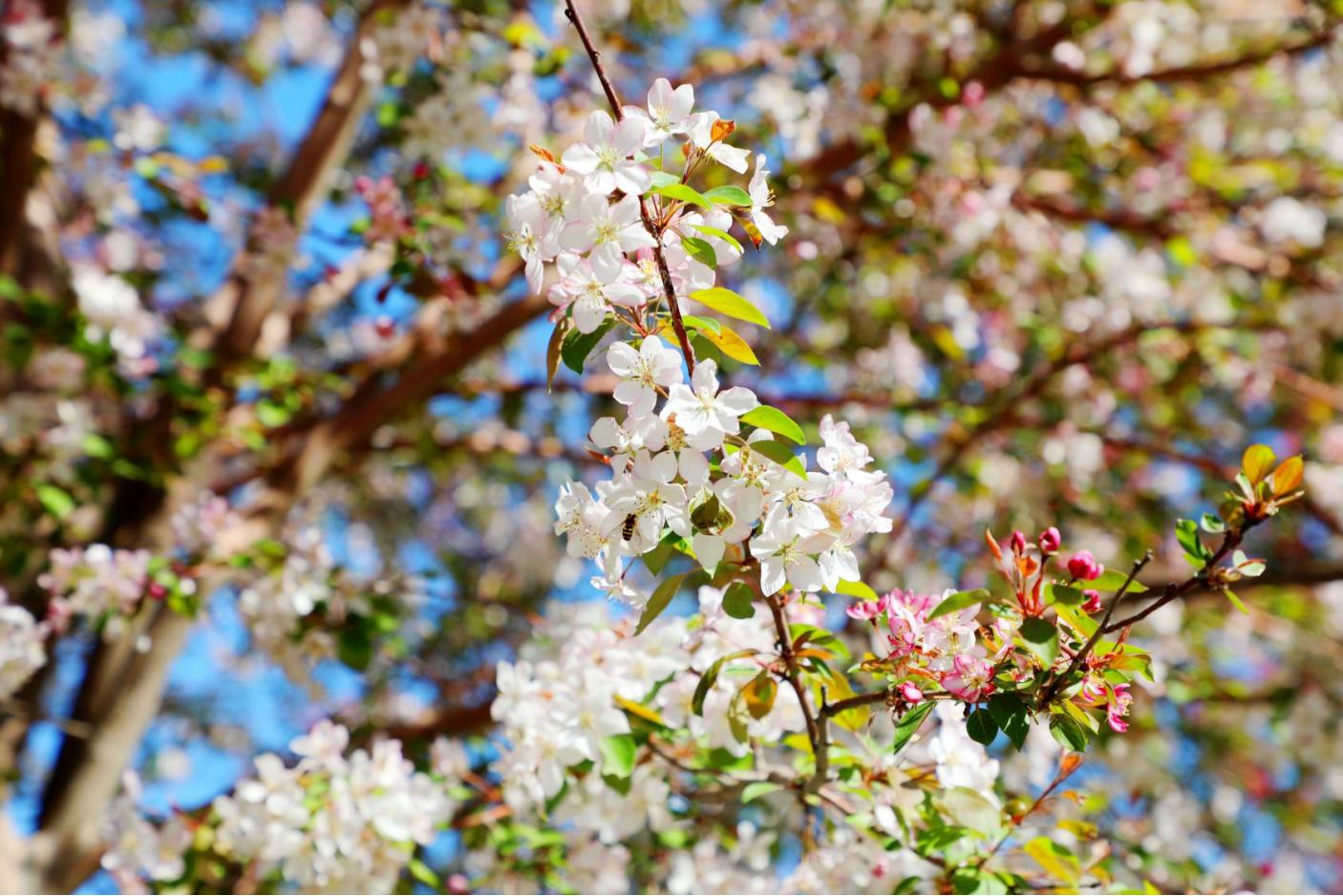 20250526162118_evo58n6anx