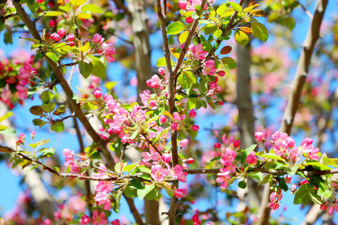 20250526162118_ipt0tiokuk