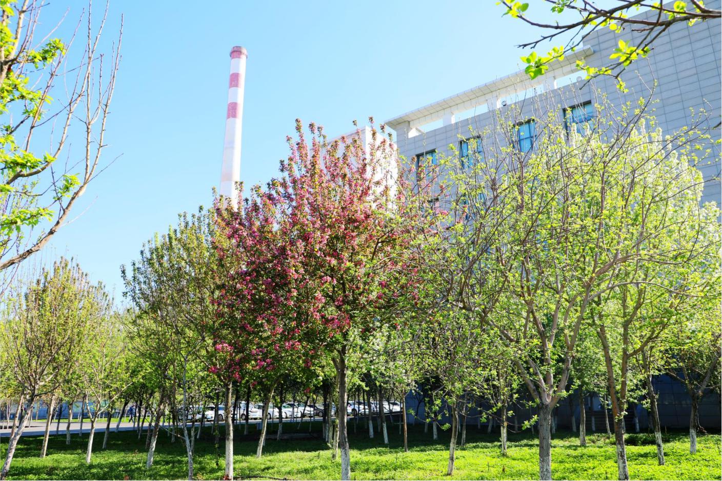 20250526162118_jb1hx25rcw