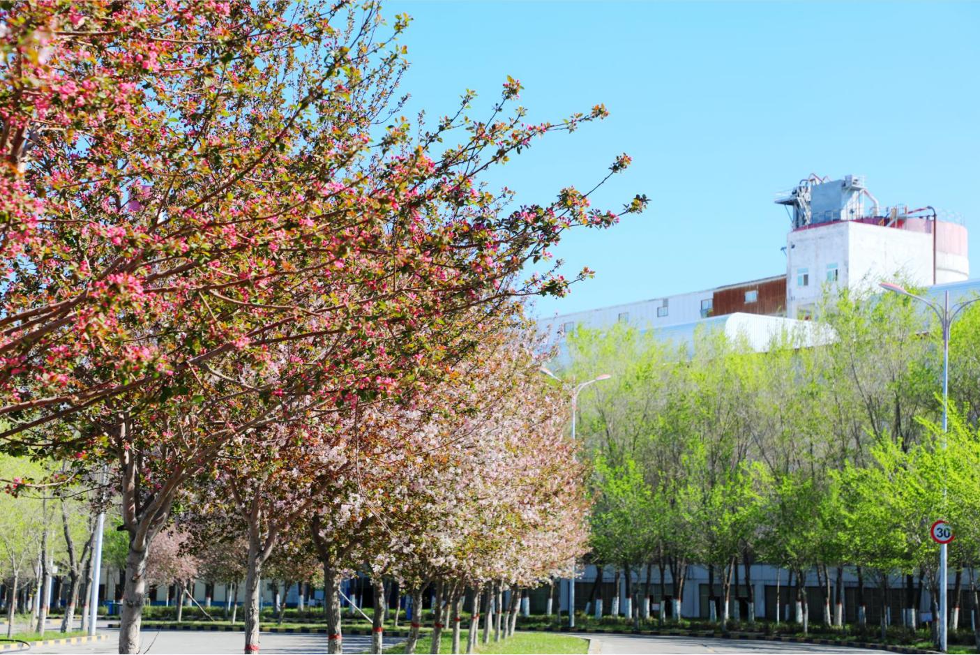 20250526162118_n61uovnx1v