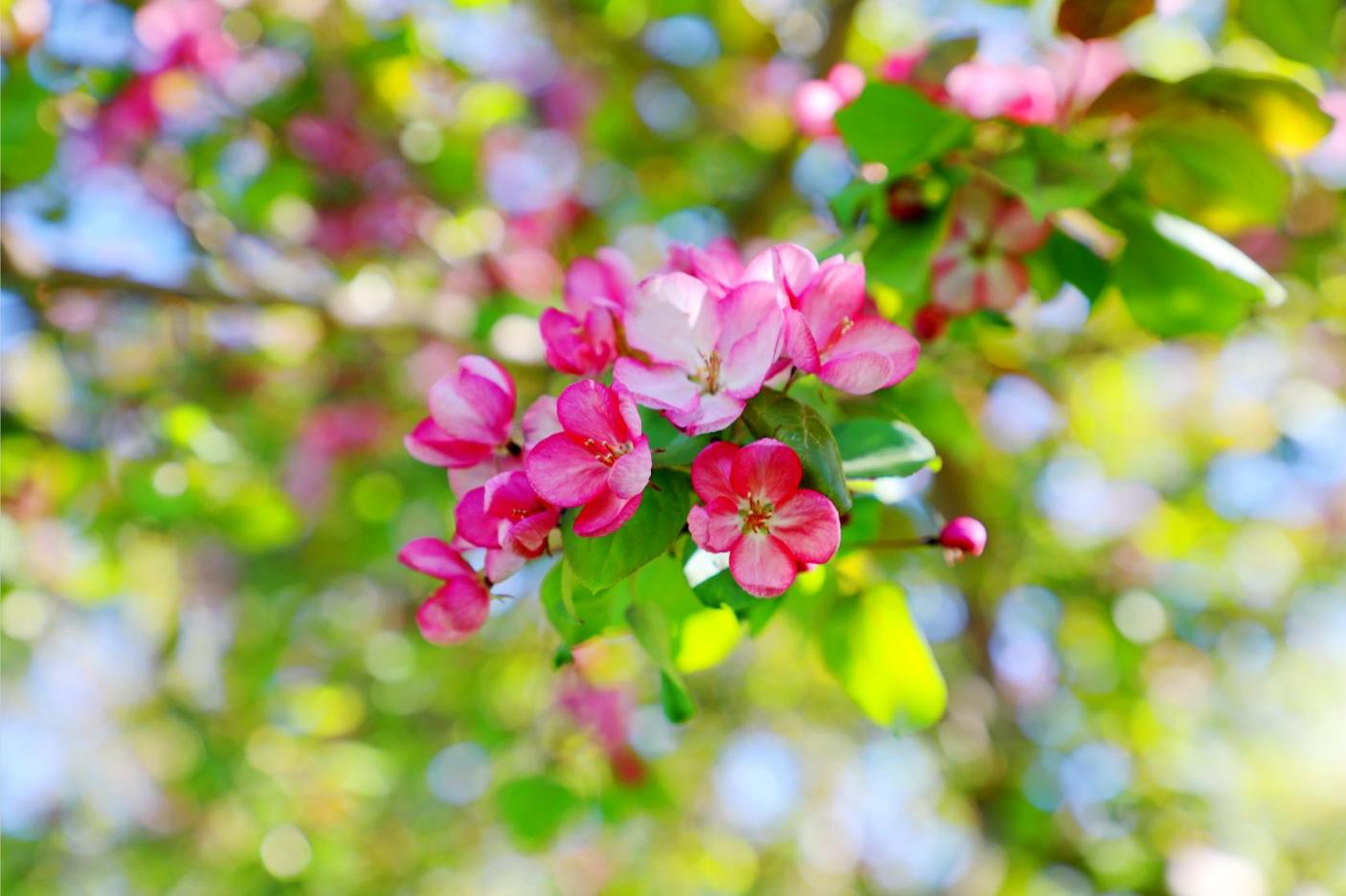 20250526162118_u9x6deb561