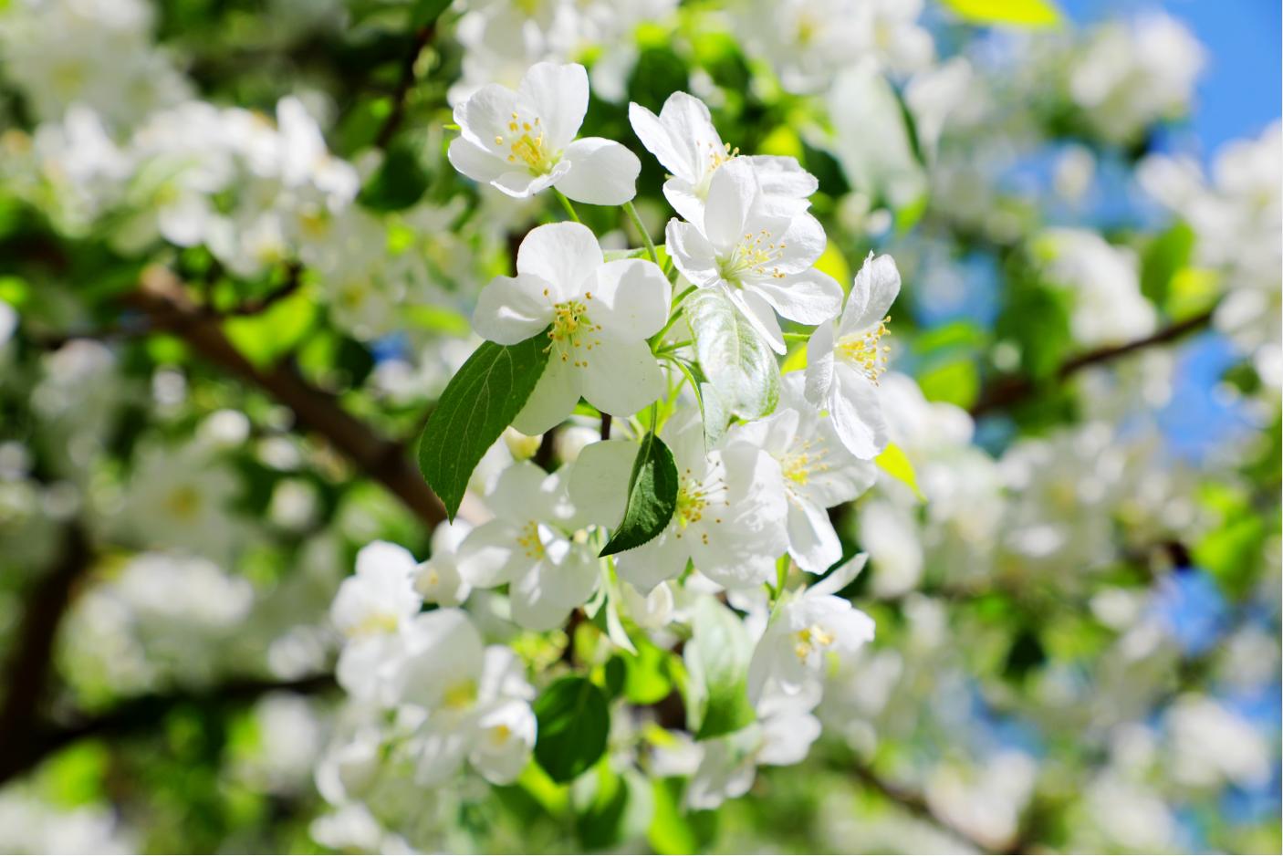 20250526162119_0itcmdxbm7