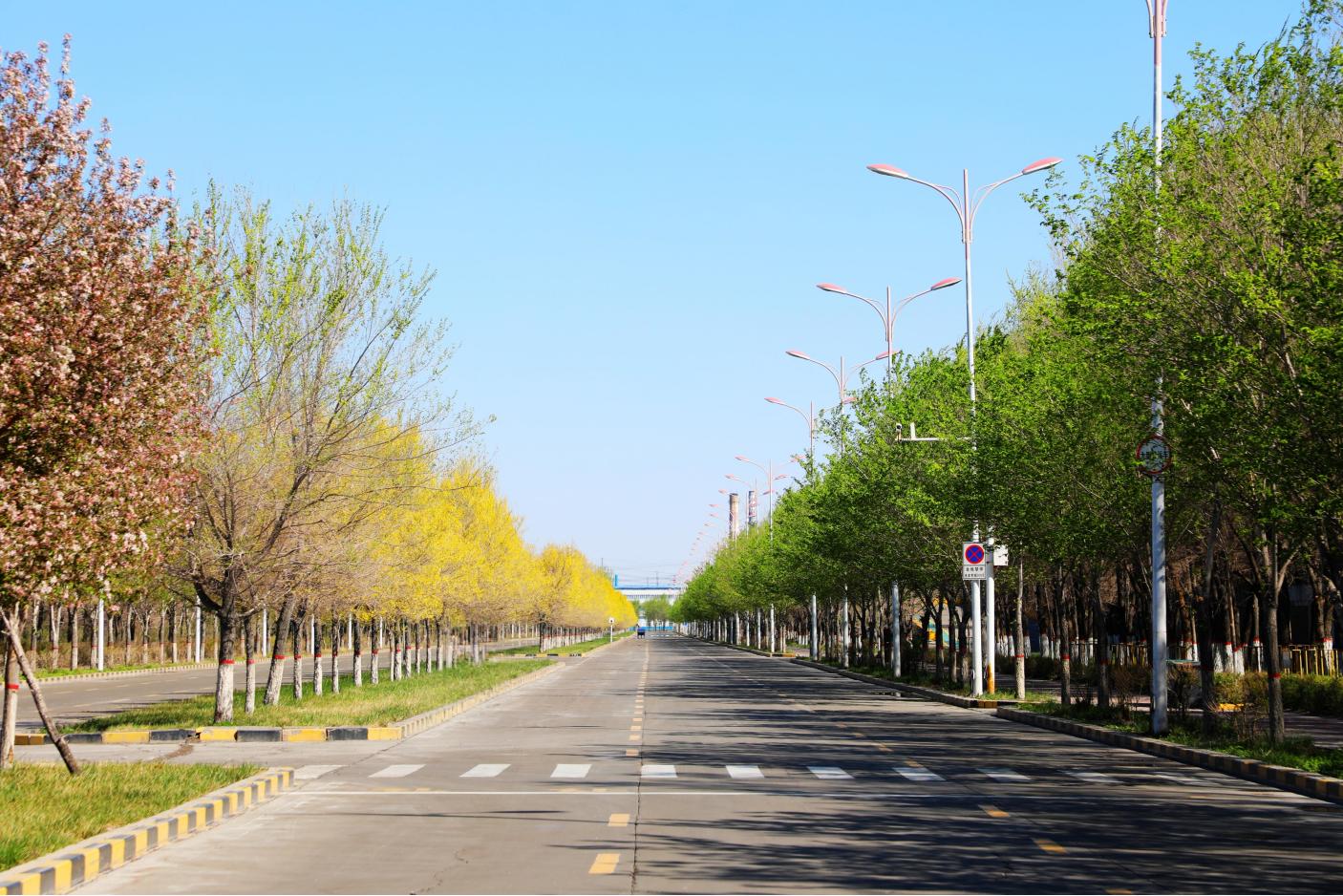 20250526162119_xvxlcxn5li